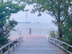 -上海吴淞炮台湾国家湿地公园