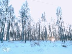 -塞罕坝国家级自然保护区