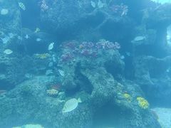 -鸿通城购物中心