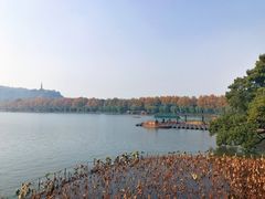 -湖畔居茶楼(湖滨店)