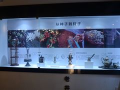 -MUSEO COFFEE咖啡博物馆