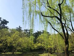 -柳浪闻莺公园