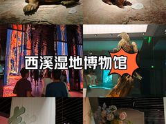 -中国湿地博物馆