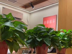 -阿源鱼捞斑鱼火锅·海鲜粥(山景尚宅店)