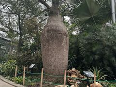 -北京植物园-展览温室