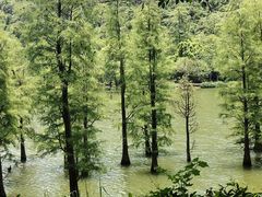 -南宁花花大世界景区