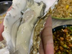 -爱蚝屋