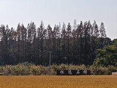 -嘉北郊野公园
