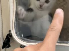 -达爱动物医院·犬猫分区·CT·复杂眼科(远洋山水分院)