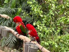 -南宫五洲植物乐园