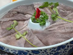 -一斗火锅·招财羊毛肚(北温泉九号店)