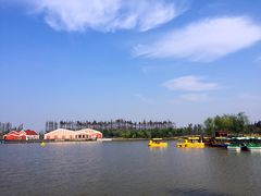 -上海长兴岛郊野公园