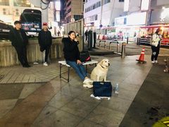 -七星路步行街