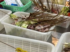 -晓靖轩烧烤(沙河风情店)