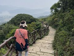 -大姆山草场