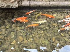 -前童古镇