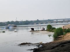 -绿堤公园