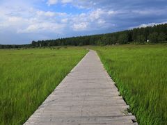 -塞罕坝国家级自然保护区