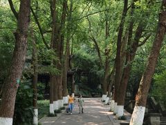 -忠山公园