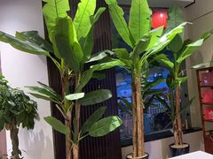 -毛家饭店·30年融合新湘菜(无影山店)