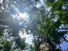 -白草畔自然风景区