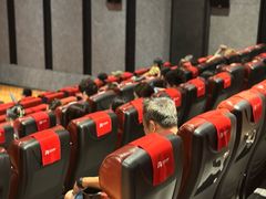 -华美国际影城(旧宫永辉店)