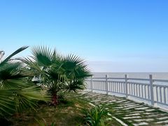 -湄洲岛