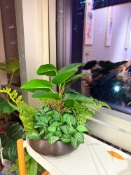 -初心はつ こころ日式美甲美睫沙龙