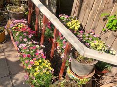 -斯多格书乡(北京大学畅春园店)