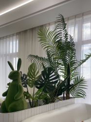 -白月光皮肤管理·德国LDM