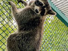 -水上乐园·欢乐世界