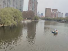 -沈阳南湖公园