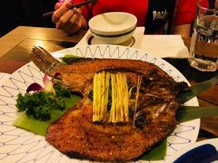 -紫滇源云南生态菜(丹凤街店)