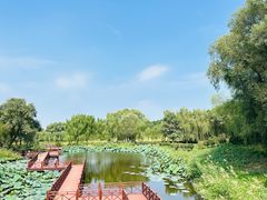 -沈阳森林动物园