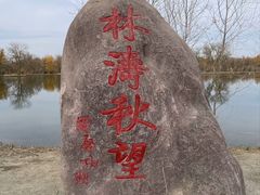 -金塔沙漠胡杨林景区