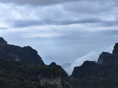 -王莽岭风景区