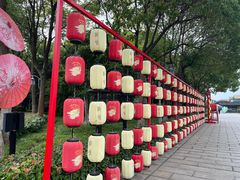 -淹城春秋乐园