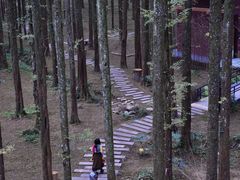 -山王坪喀斯特国家生态公园