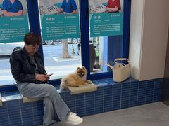 -伟伟宠物医院·CT影像中心·瑞派犬猫综合性门诊(汉口总院)