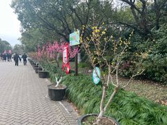 -上海海湾国家森林公园