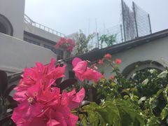 门面-素心小筑(后沙裕镇店)