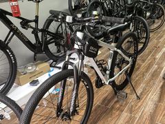 -道路口单车爱瓦士dahon大行