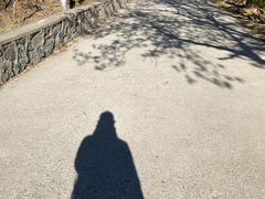 -大觉寺-停车场