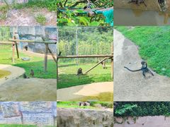 -杭州野生动物世界