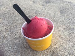 -Patagonia Chocolates(皇后镇店)