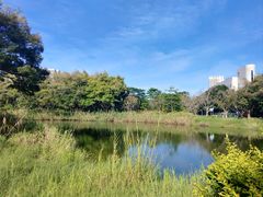 -福田红树林生态公园