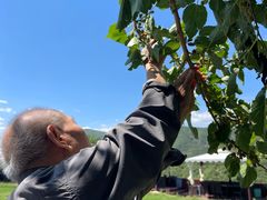 -潭柘厚院(桑峪村店)