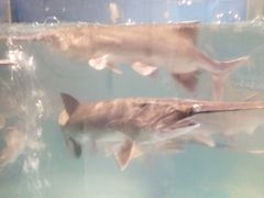 -漓江又一軒·广西菜·桂林米粉(梅林店)