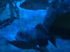 -沈阳海洋探索中心