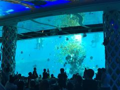 景观位-瑞德姆美人鱼海底演艺主题餐厅(亚龙湾店)